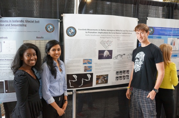 The "Rat Pack" presented their preliminary research on rat locomotion to the 2013 NAMS Research Symposium.  Left to right: Kadeisha Pinkney, Radha Varajharadan, and Evan Drake.