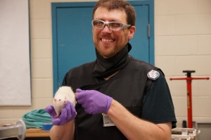 Here I am holding one of the rats we named Evan.  Evan was a bit "lazy," but ended up being great at walking a narrow dowel, helping us to see forearm movements in detail.