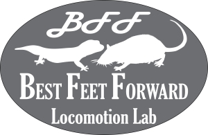 Best Foot Forward Lab Logo