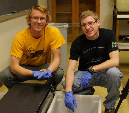 Corey Barnes (left) and Alex Lauffer are working with a bearded dragon lizards to determine the typical range of motion in their forelimbs.