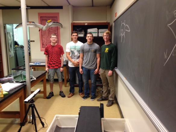 The "Bonnan Beardies" crew with our treadmill (center) and motion capture system (left).  From left to right, Alex Lauffer, Kieran Tracey, Alex Hilbmann, and Corey Barnes.