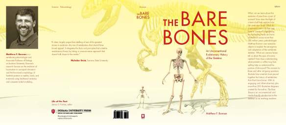 The Bare Bones
